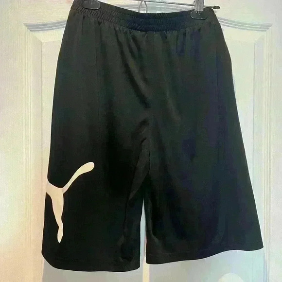 Puma Speed Boys' Performance Shorts JR  Size XL - Picture 6 of 13